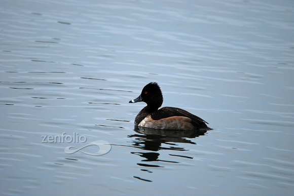 DSC_0044 copy