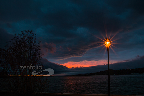 DSC_7374-5