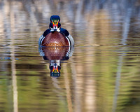 720_2654-2