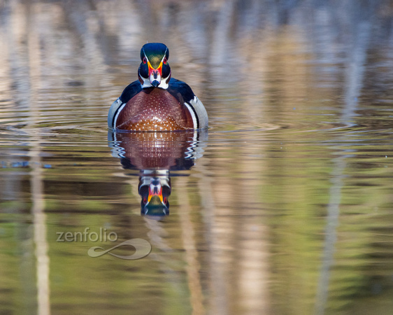 720_2654-2